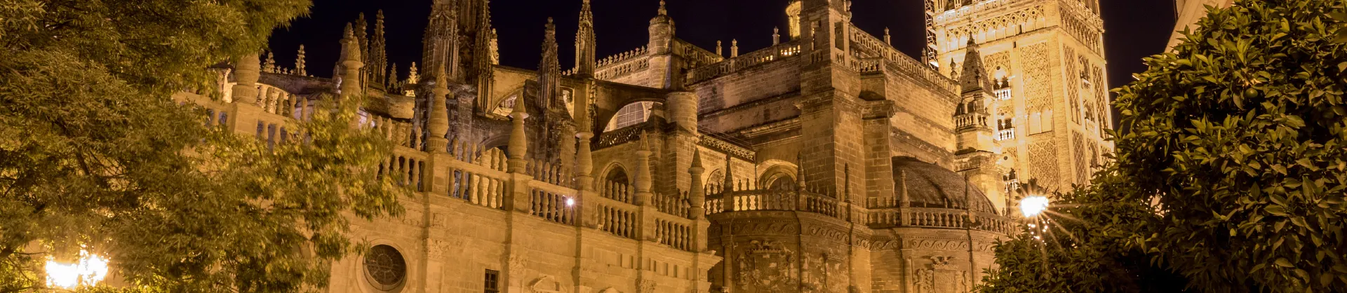 Night Attractions