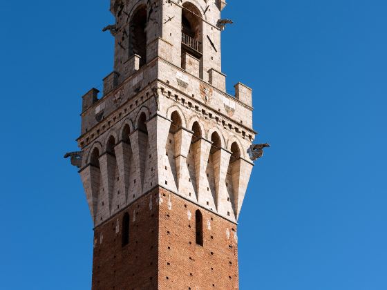 Piazza del Campo