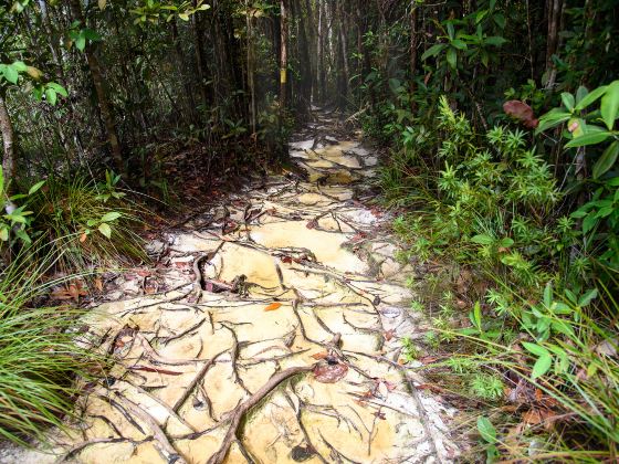 Bako National Park