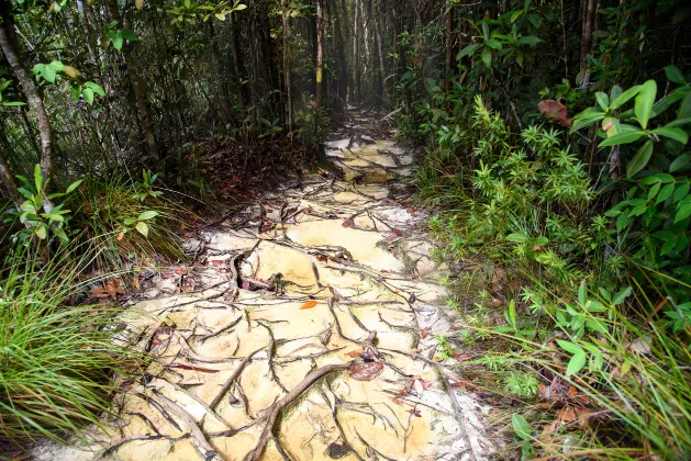 Для бизнес-поездок Отели в г. Сибу