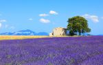 Provence