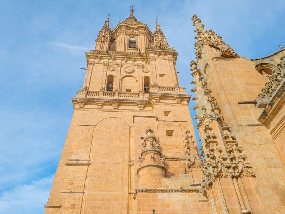 Ieronimus Tower (Old Cathedral)