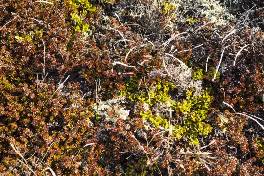 โรงแรมใกล้สวนกีฬาหลงเหยียน