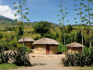 탄자니아항공 다르에스살람-도도마