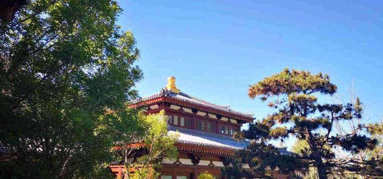 珺唐酒店唐苑中餐廳