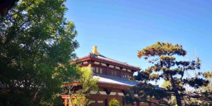 珺唐酒店唐苑中餐廳