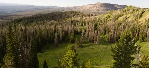 Holiday Inn Express in Wyoming
