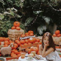 Cooperland User Photo