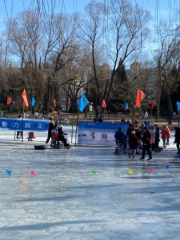 順義公園冰場(順義公園店)