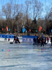 Shunyi Park Ice Rink (Shunyi Park Store)