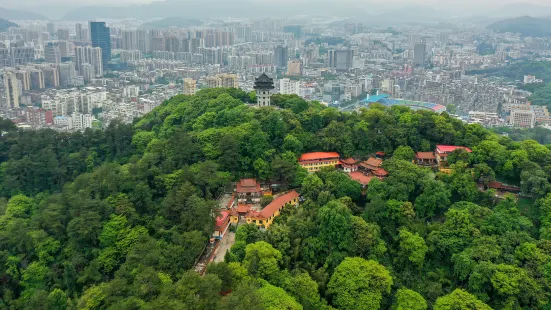 Lianhuashan Park (south of Tianma Mountain Villa)