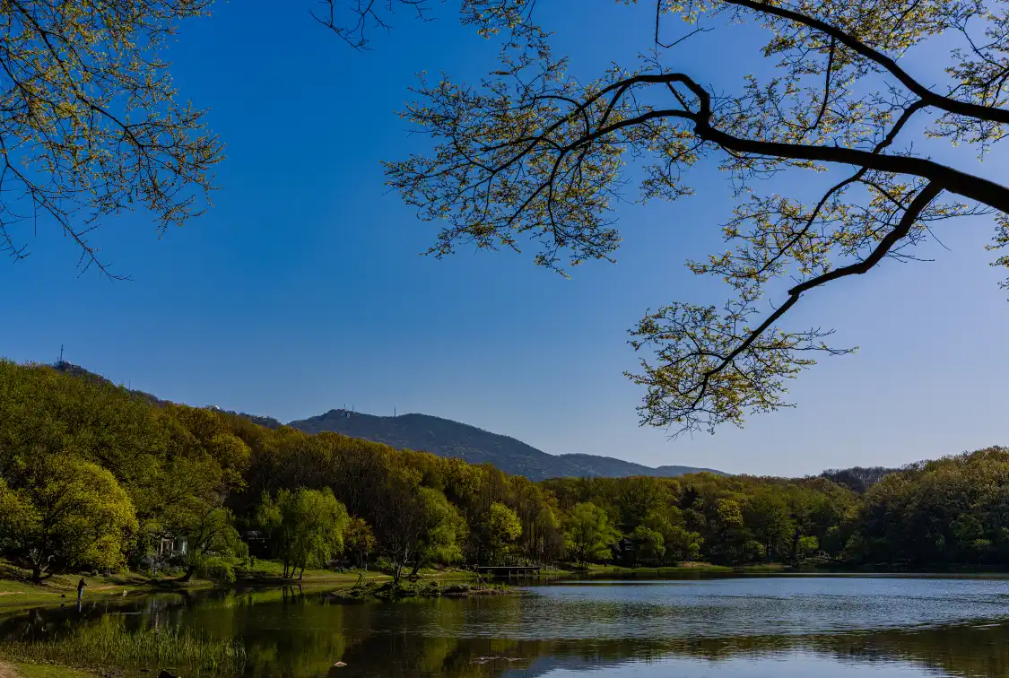 Hotels near Pipahu Park