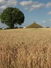 Battle of Waterloo Re-enactments