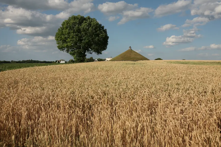 Battle of Waterloo Re-enactments