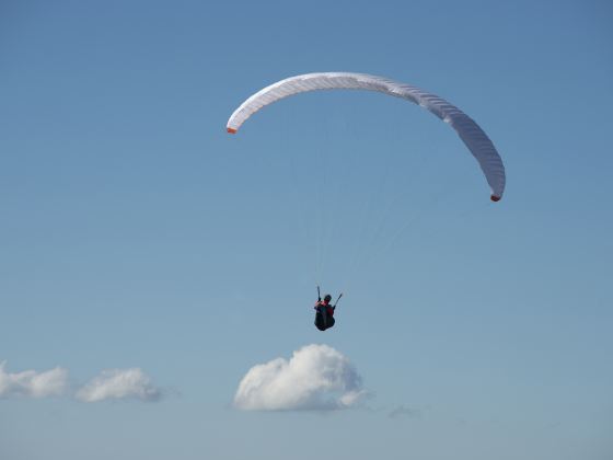斑馬滑翔傘飛行俱樂部