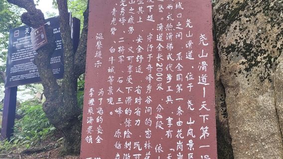 tian xia di yi hua dao