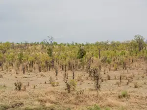 Hwange National Park