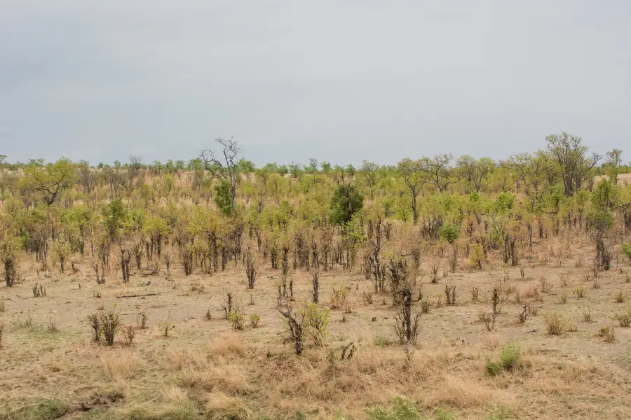 Hwange National Park