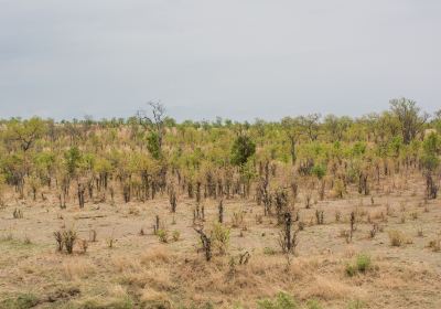 Hwange National Park