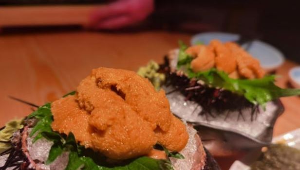 Jiu Fu Zi Man Japanese Cuisine