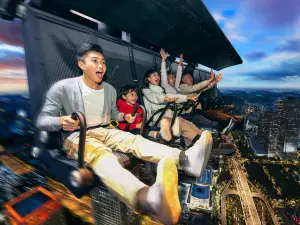 Fly Over The World