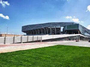 Arena Lviv