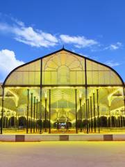 Jardín Botánico Lal Bagh