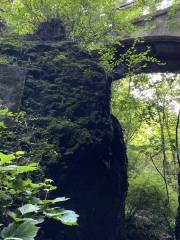 White Cloud Old Cave