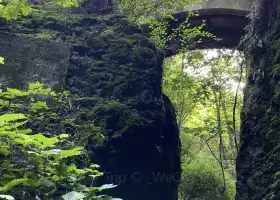 White Cloud Old Cave