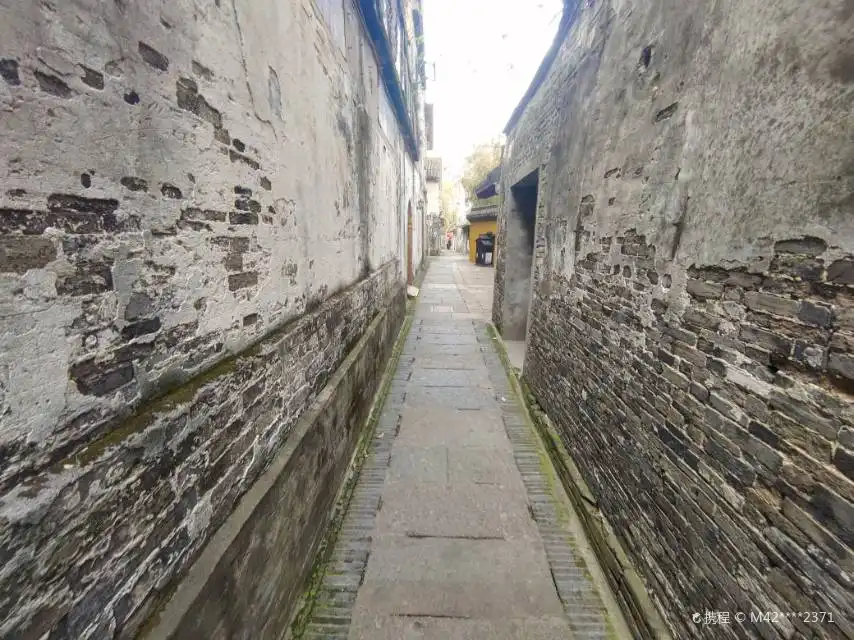 홍콩을 태우다 주변 호텔