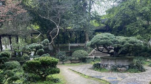 Yushan Park