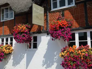 The Plough at Hanney