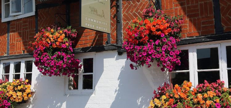 The Plough at Hanney