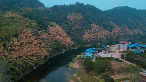 ยอดนางฟ้าหลัวดี