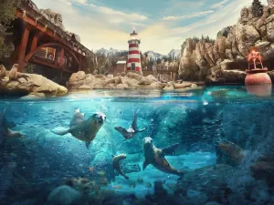 SeaWorld® Yas Island