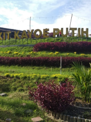 Wisata Bukit Kayoe putih