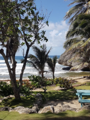 Bathsheba Park