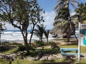 Bathsheba Park