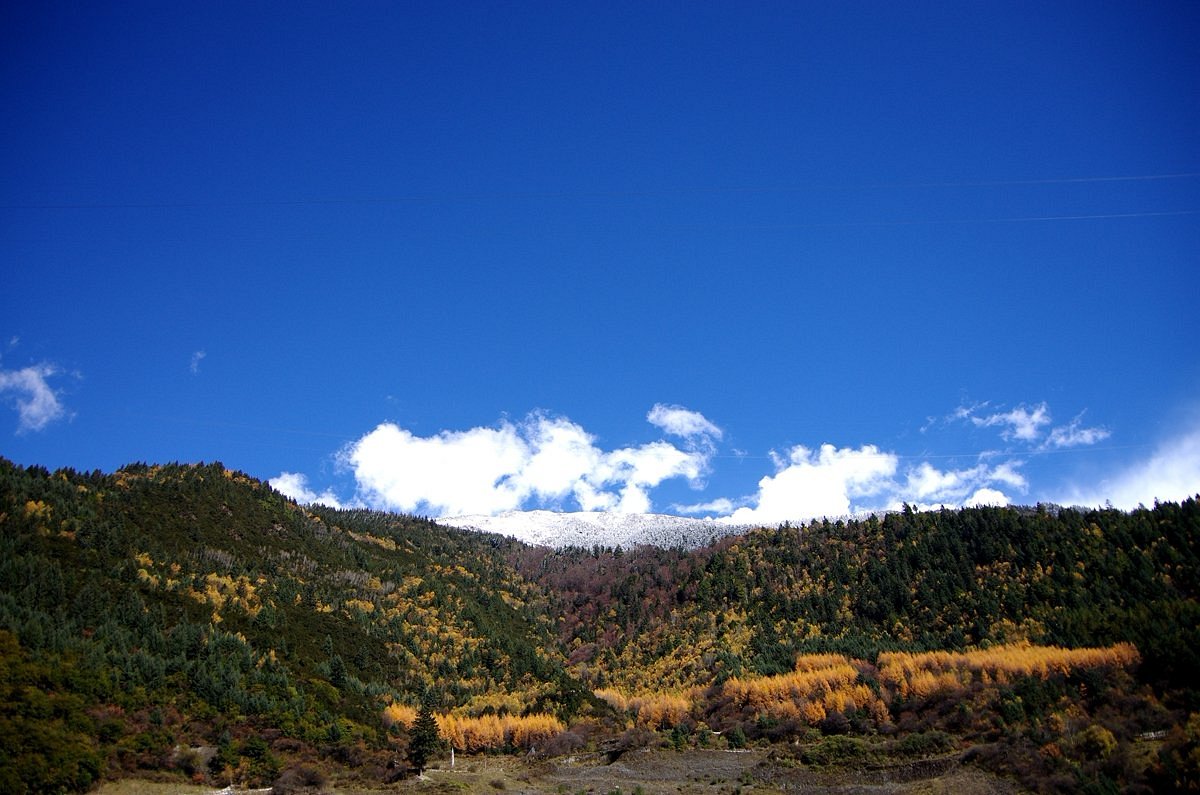 Miyaluo Red River Valley Red Maple Ridge Tickets [2025] - Promos ...