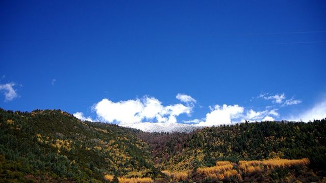 Miyaluo Red River Valley Red Maple Ridge