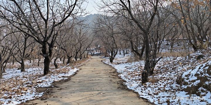Ningyang Cai Mountain