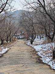 Ningyang Cai Mountain