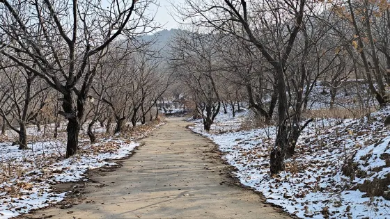 彩山