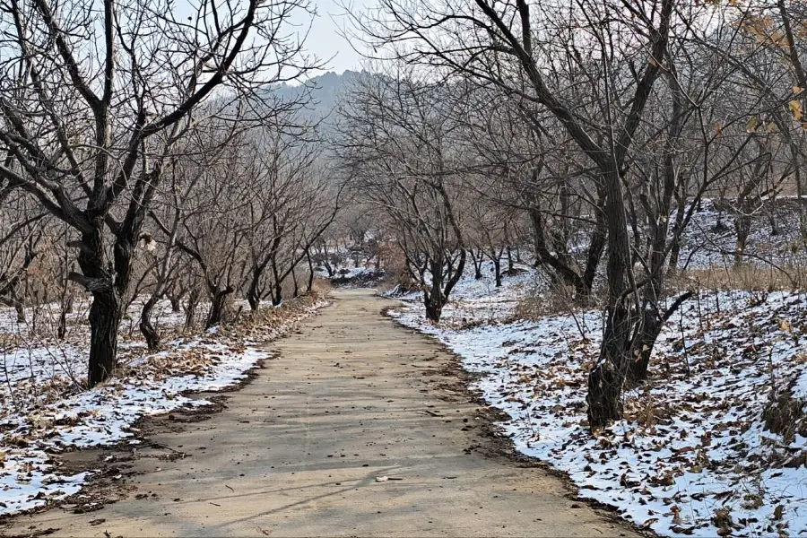 Ningyang Cai Mountain