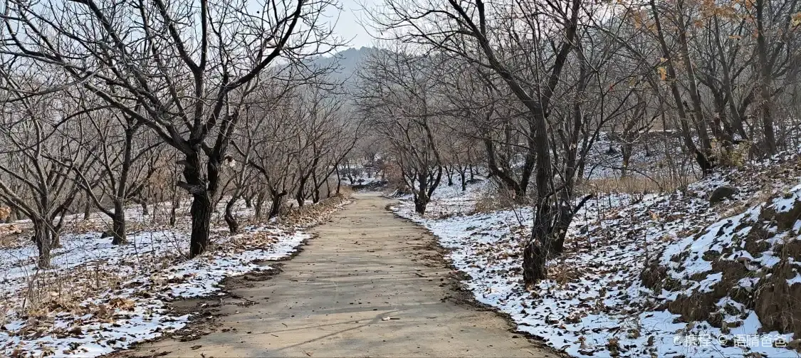 Hotels near Ningyang Cai Mountain