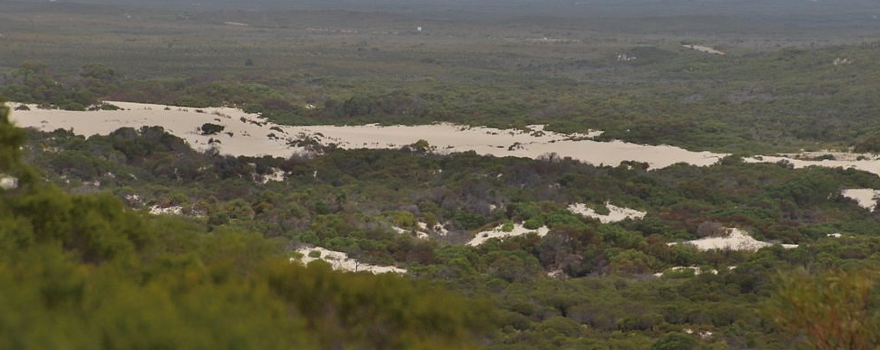 Molah Hill Lookout