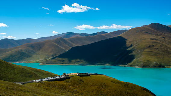 yang zhuo yong cuo ya bu guan jing tai