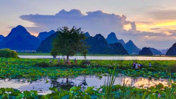 Qiubei Puzhehei Wetland Park