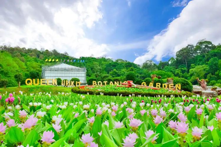 Hotels near Queens Botanical Garden