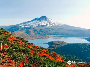 Conguillío National Park